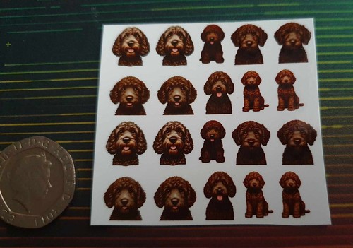 Cute cockapoo dog - cute,,