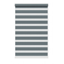 Day & Night Zebra Roller Blind