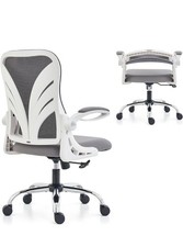 HOLLUDLE Ergonomic Office