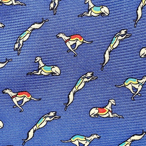 Vintage greyhound whippet dog - greyhound,