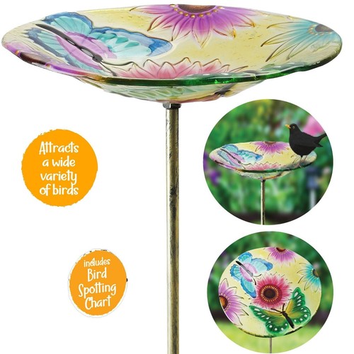 Glass bird bath feeder - bird,
