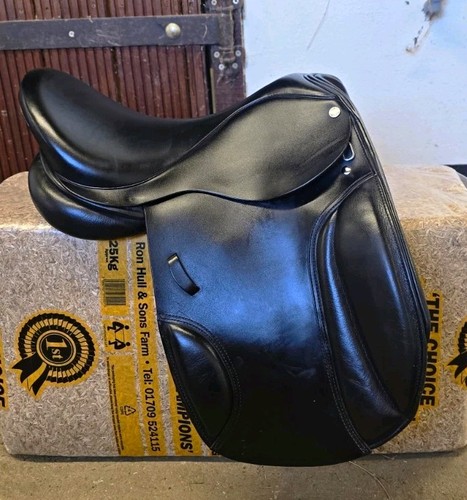 Black cob dressage - 17",