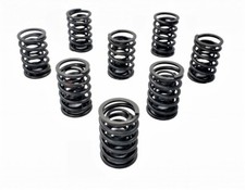 AUSTIN HEALEY SPRITE & MG MIDGET 1967 - 1974 1275 cc SET OF DOUBLE VALVE SPRINGS