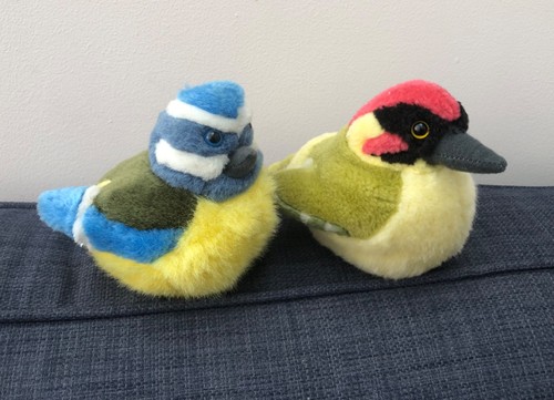 International blue tit - k&m,