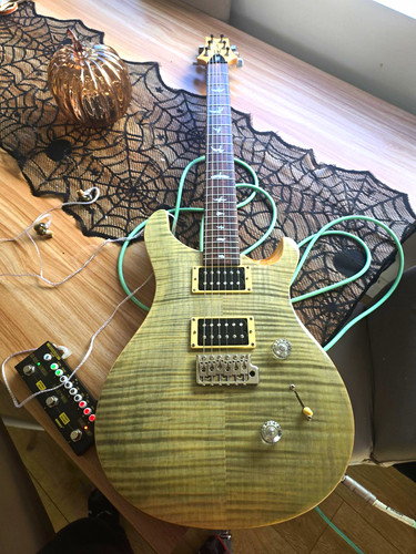 Prs custom electric - custom, 24