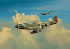 Blue Nose by Richard Taylor