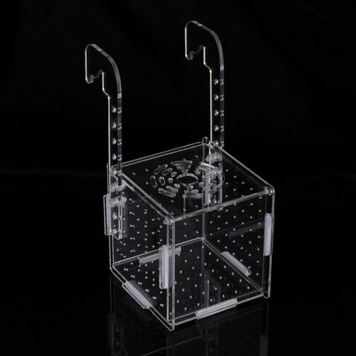 Betta breeding fish box tank - betta,