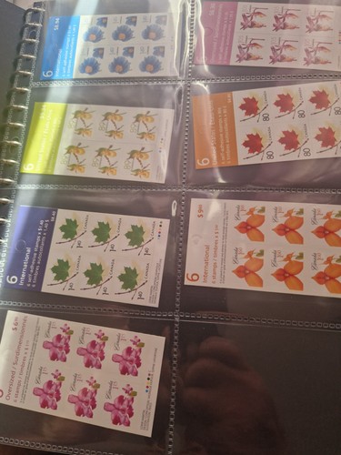 Canadian stamp flower booklet - flower,