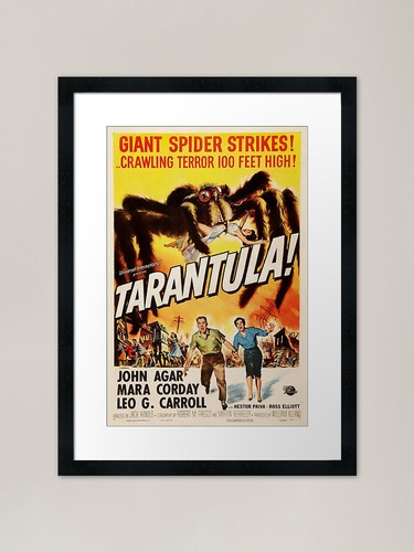 Tarantula movie poster - (1955),
