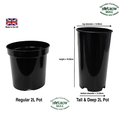 10x extra tall deep 2ltr - 10x,