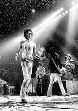 The Rolling Stones Mick Jagger