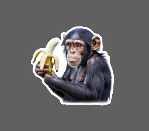 Chimpanzee sticker waterproof - sticker,