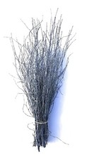 Birch/Twigs/Branches/Decorativ