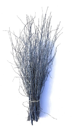 Birch/Twigs/Branches/Decorativ