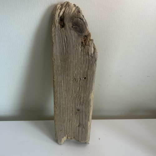 Driftwood flat plank piece - driftwood,