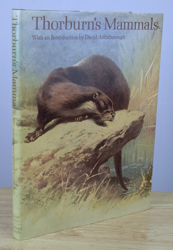 Thorburn mammals archibald - mammals,