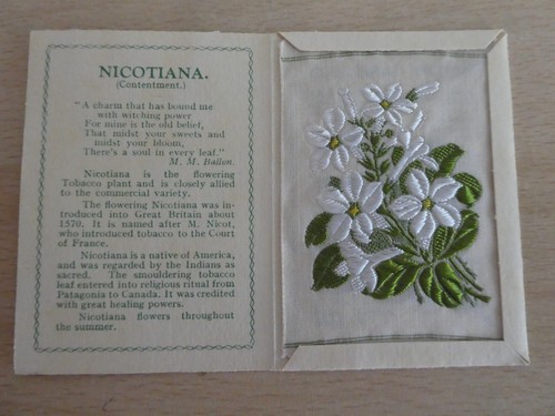 Kensitas wix tobacco - kensitas,