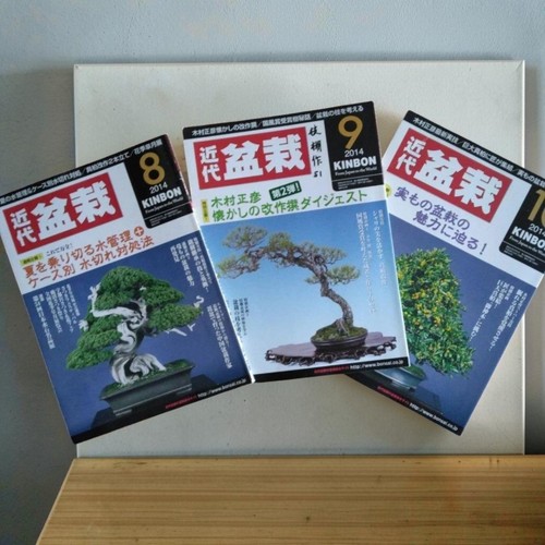 Modern bonsai magazine 2014 - bonsai,