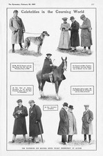 COURSING The Opening of the Waterloo Cup at Altcar - Antique Print 1907