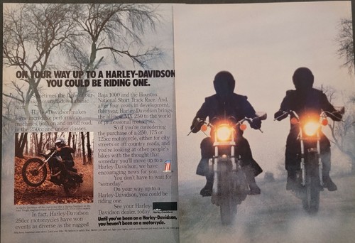 1977 harley davidson sx250 - harley,
