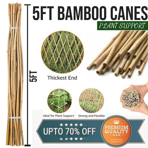 5ft bamboo garden canes - 5ft,