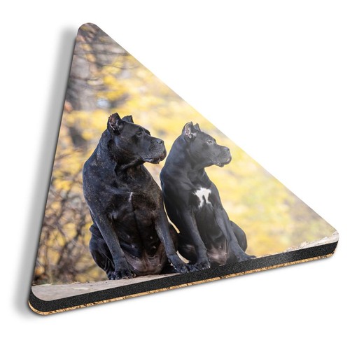 Triangle mdf coaster cane - triangle,