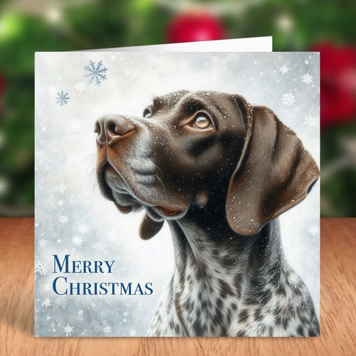 German pointer dog - german, christmas