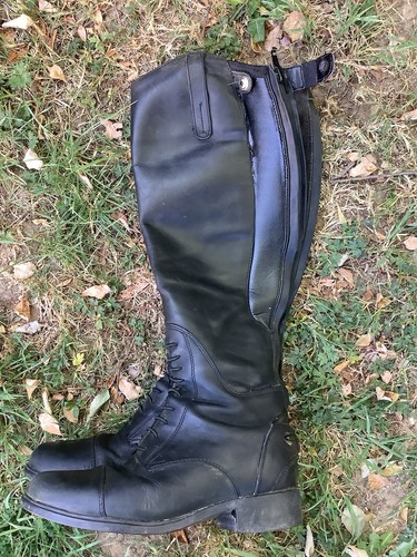 Ariat bromont long leather - ariat,