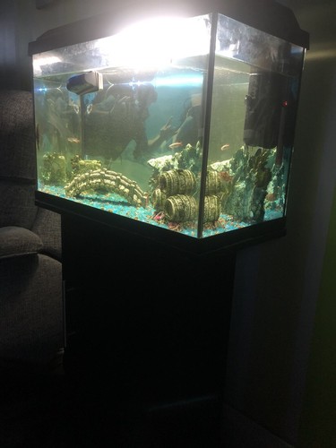 Fish tank and - tank,