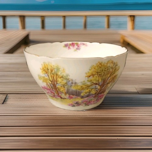 Shelley sugar bowl england - -, england's