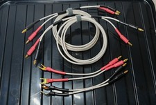 QED Silver  25th Anniversary