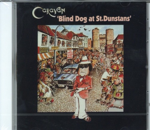 Blind dog dunstans by - dog,