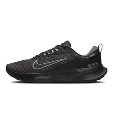 Nike Juniper Trail 2 GTX