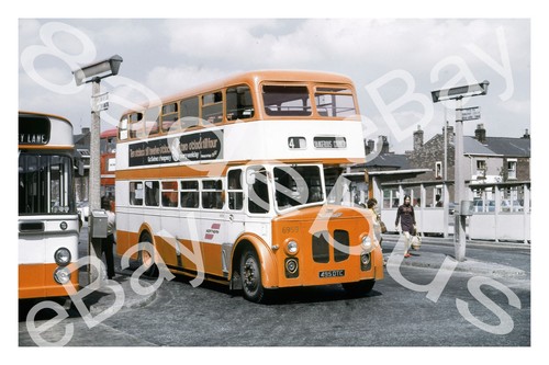 Bus photograph selnec - photograph,
