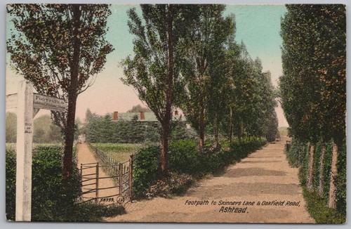 Ashtead footpath skinners - ashtead,