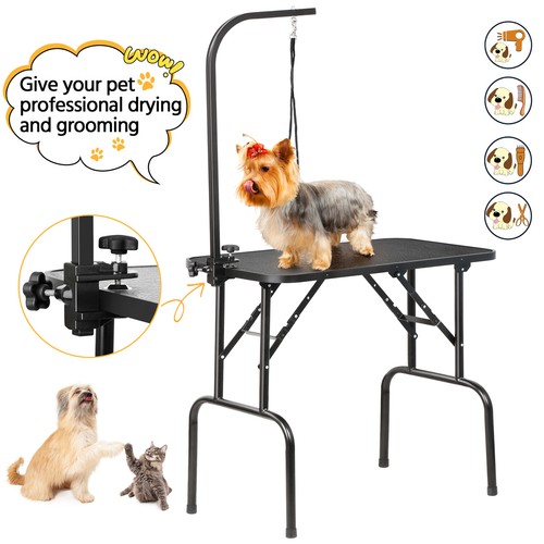 153cm portable pet - 153cm,