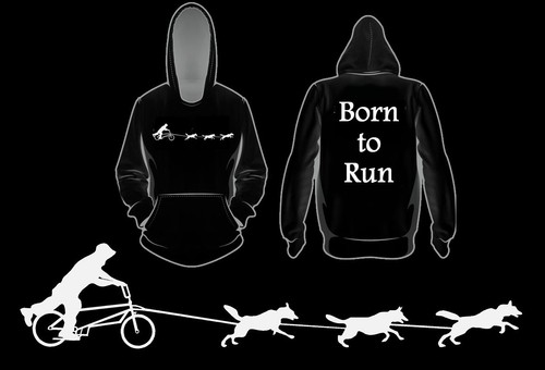 Siberian husky rig born - siberian,