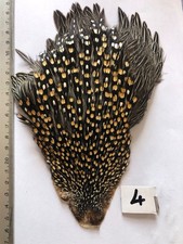 jungle cock cape fly tying