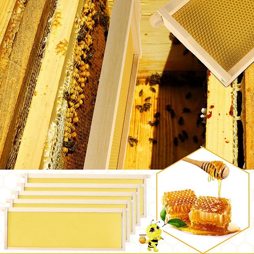 10pcs assembled langstroth - 10pcs,