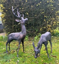 Large stag and doe - large, garden