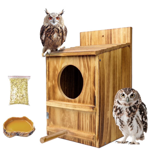 Large owl house - owl, box