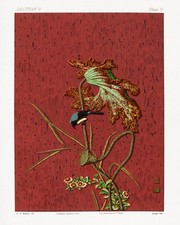 12152.Decor Poster.Room wall