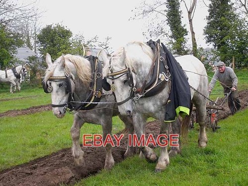 Photo county cavan ploughing - photo,