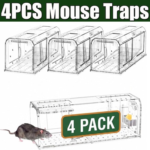 Rat catcher spring cage - catcher,