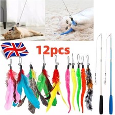12Pcs Kitten Toy Cat Feather