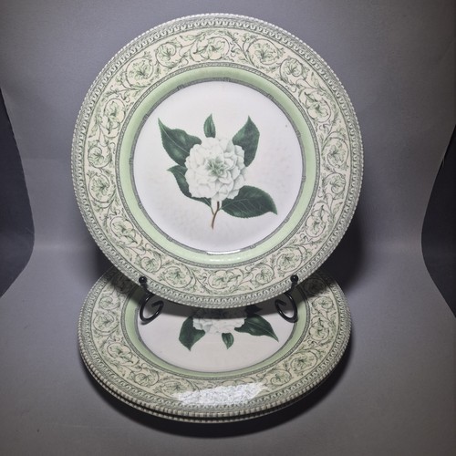 Royal horticultural society - horticultural,