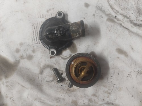 Quadzilla dinli 450 thermostat - dinli,