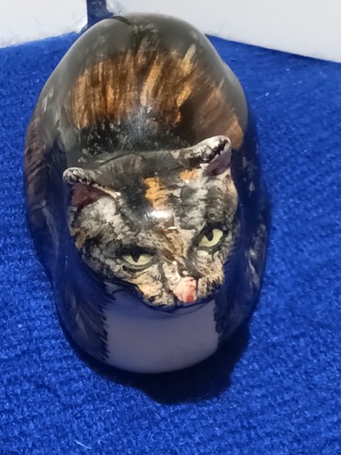 Babbacombe tortoiseshell - babbacombe,