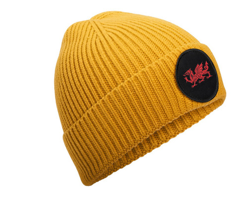 Smart beanie welsh dragon - beanie,