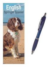 English Springer Spaniel Slim